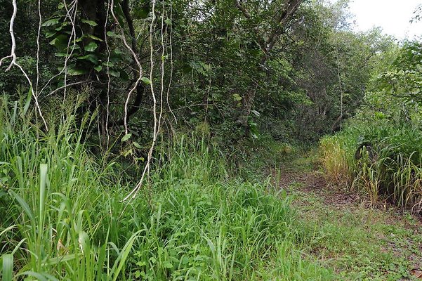 th DSC 3308 th DSC 3308