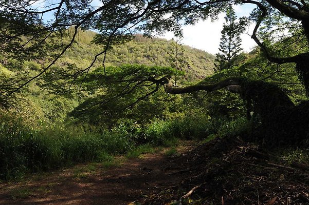 th DSC 3319 th DSC 3319