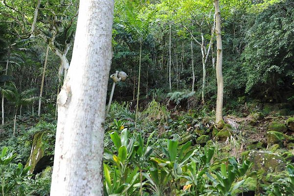 th DSC 4730 th DSC 4730