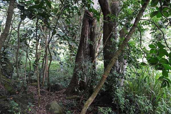 th DSC 3298 th DSC 3298