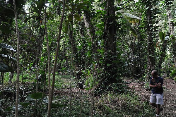 th DSC 3274 th DSC 3274