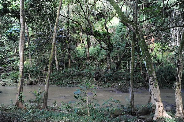 th DSC 4780 th DSC 4780