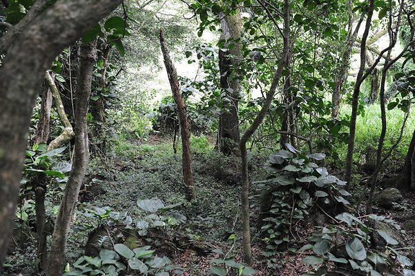 th DSC 3299 th DSC 3299