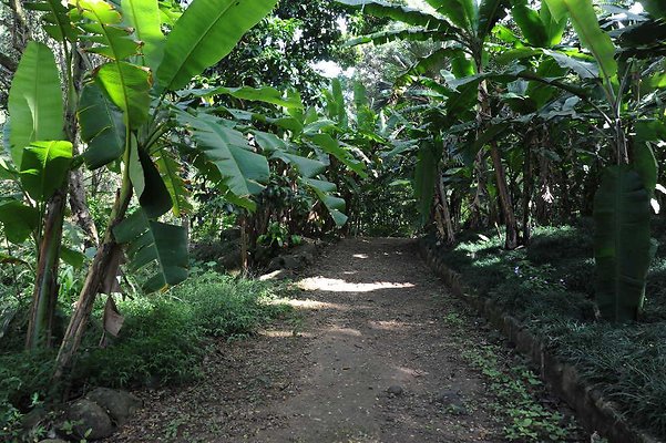 th DSC 4746 th DSC 4746