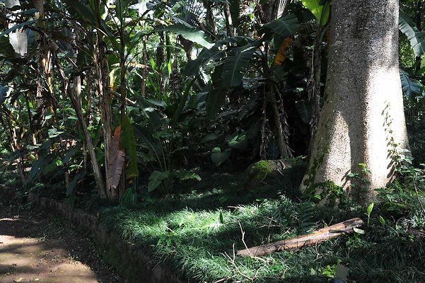 th DSC 4753 th DSC 4753