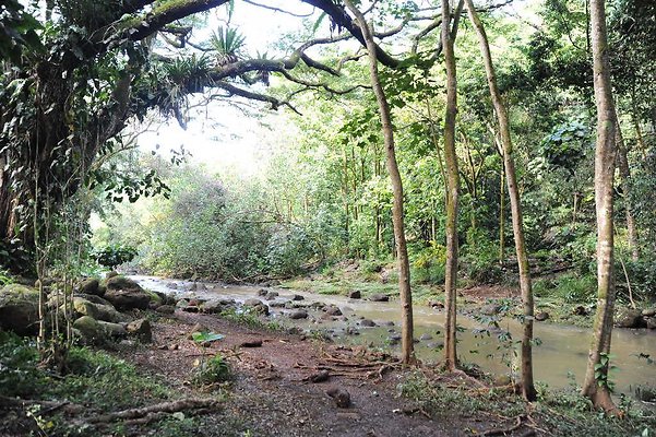 th DSC 4779 th DSC 4779