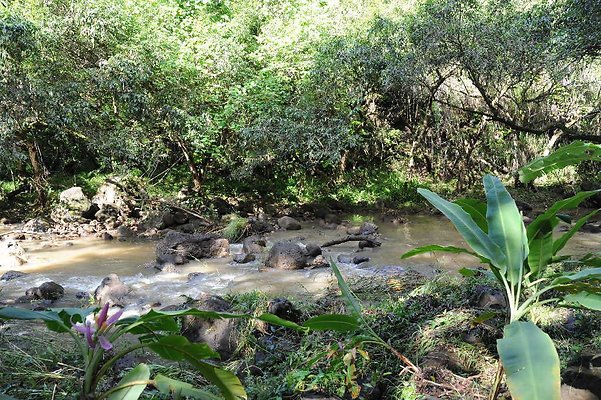 th DSC 4751 th DSC 4751