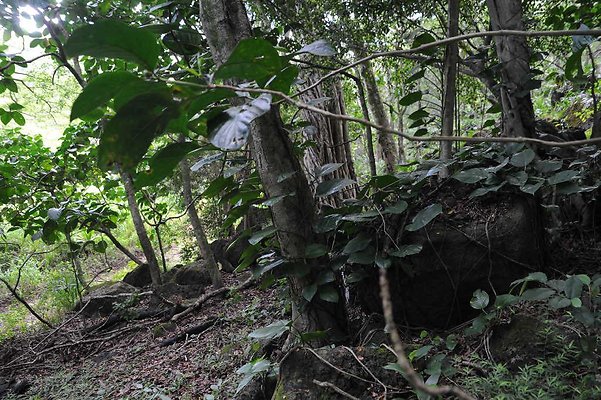 th DSC 3301 th DSC 3301