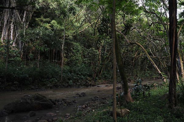 th DSC 4773 th DSC 4773