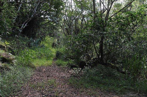 th DSC 3331 th DSC 3331