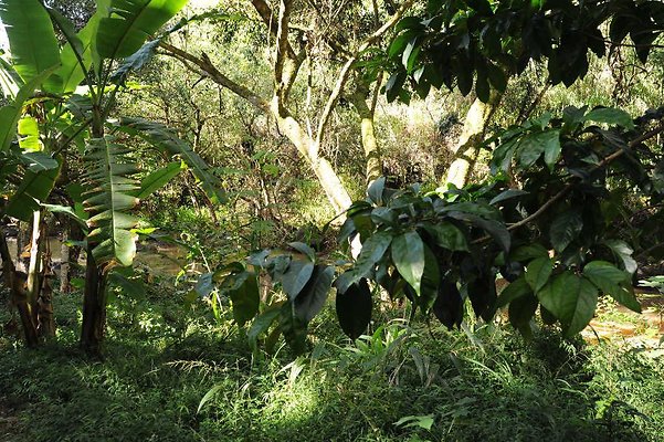 th DSC 4744 th DSC 4744