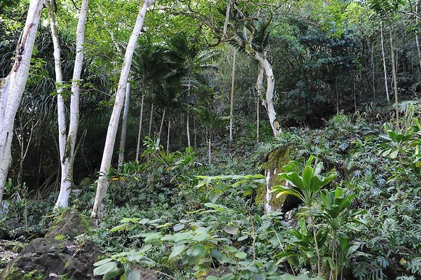 th DSC 4733 th DSC 4733