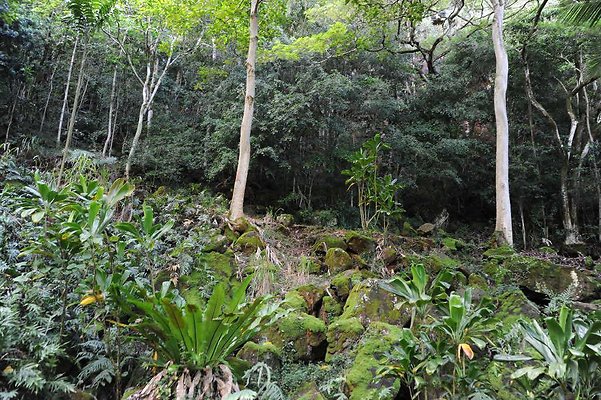 th DSC 4734 th DSC 4734