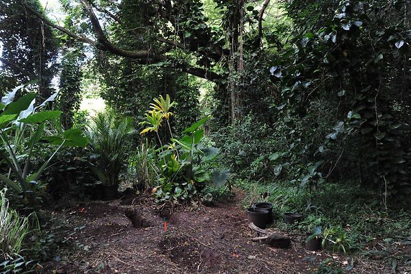 th DSC 3278 th DSC 3278