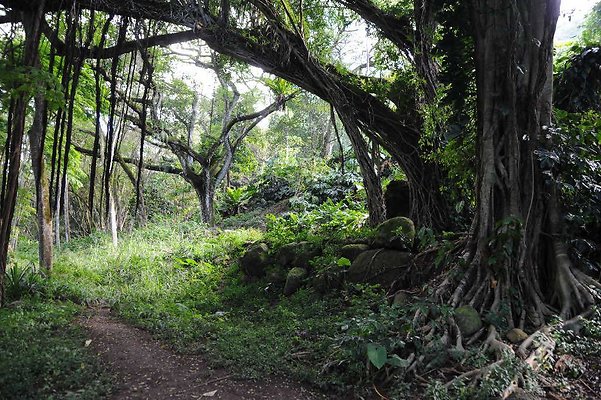 th DSC 4776 th DSC 4776