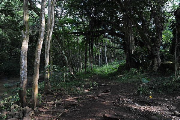 th DSC 4762 th DSC 4762