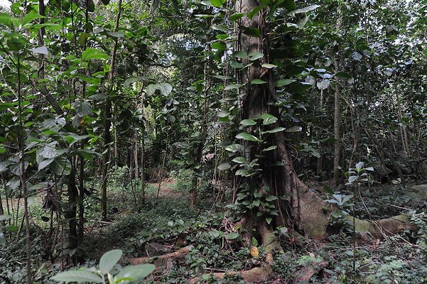 th DSC 3267 th DSC 3267