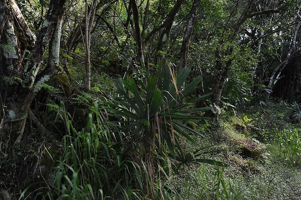 th DSC 3330 th DSC 3330