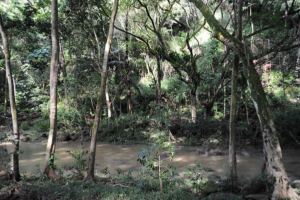 th DSC 4783 th DSC 4783