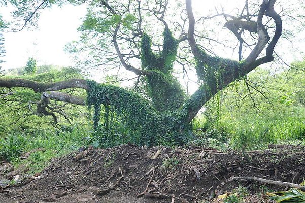 th DSC 3314 th DSC 3314