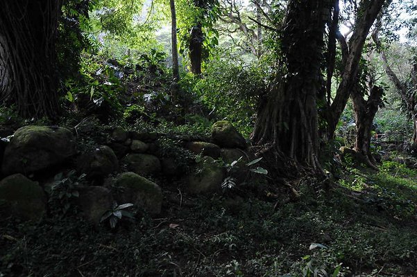 th DSC 4764 th DSC 4764