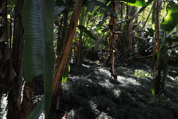 th DSC 4742 th DSC 4742