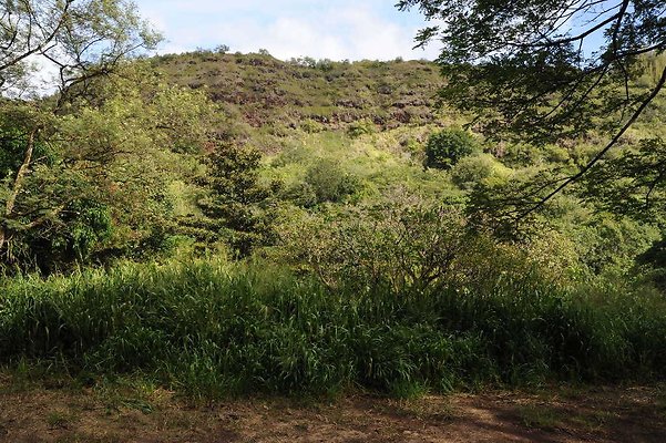 th DSC 3318 th DSC 3318