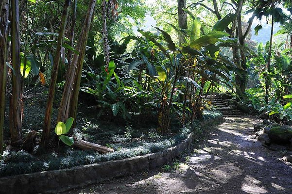 th DSC 4748 th DSC 4748