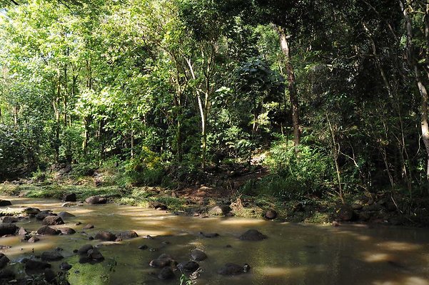 th DSC 4787 th DSC 4787