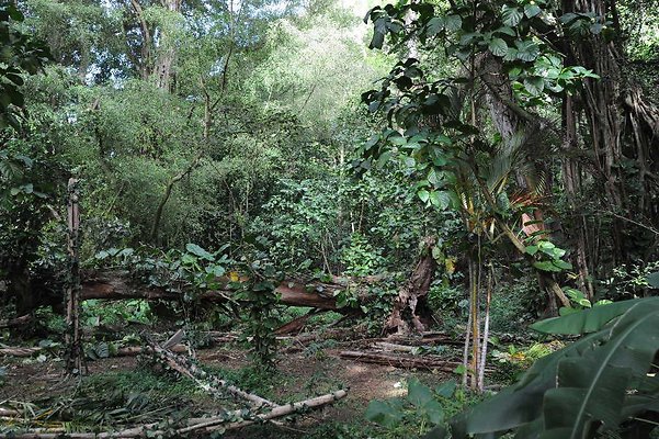 th DSC 3276 th DSC 3276