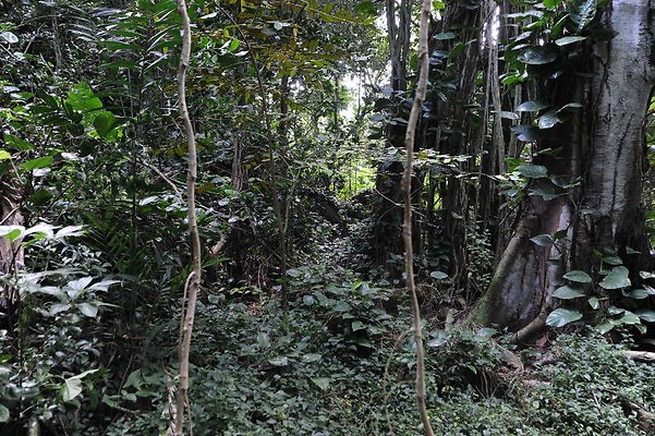 th DSC 3269 th DSC 3269