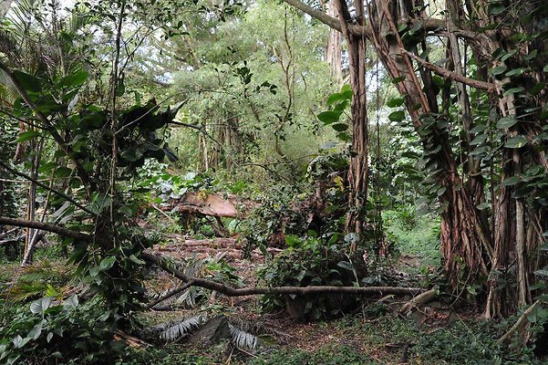 th DSC 3271 th DSC 3271