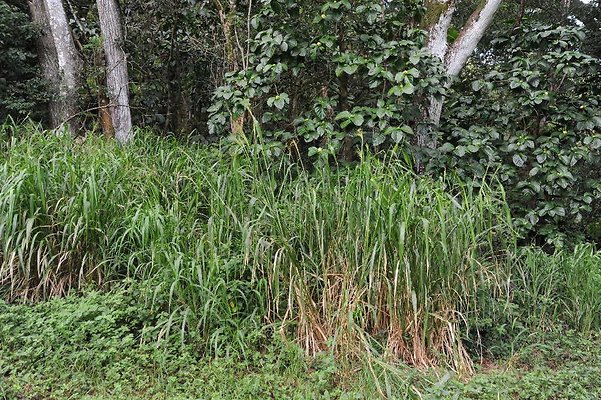 th DSC 3284 th DSC 3284