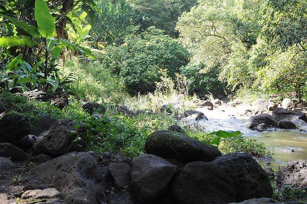 th DSC 4759 th DSC 4759