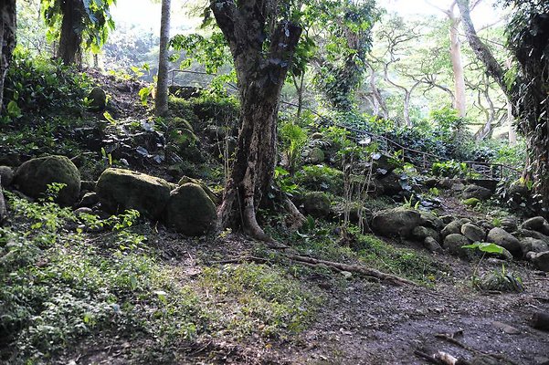 th DSC 4778 th DSC 4778