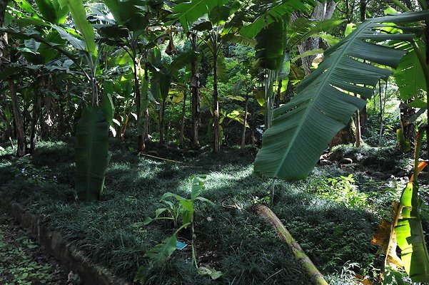 th DSC 4747 th DSC 4747