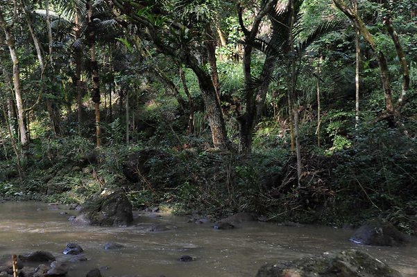 th DSC 4769 th DSC 4769