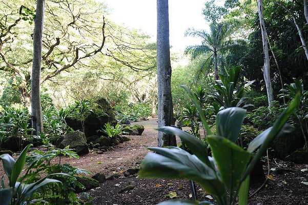 th DSC 4729 th DSC 4729