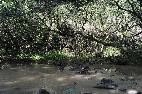 th DSC 4736 th DSC 4736