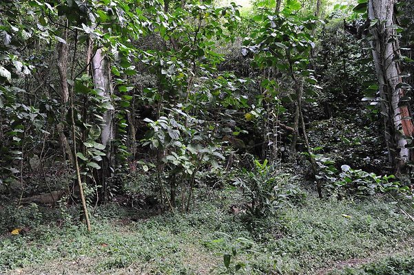 th DSC 3263 th DSC 3263