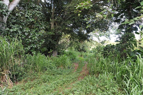 th DSC 3285 th DSC 3285