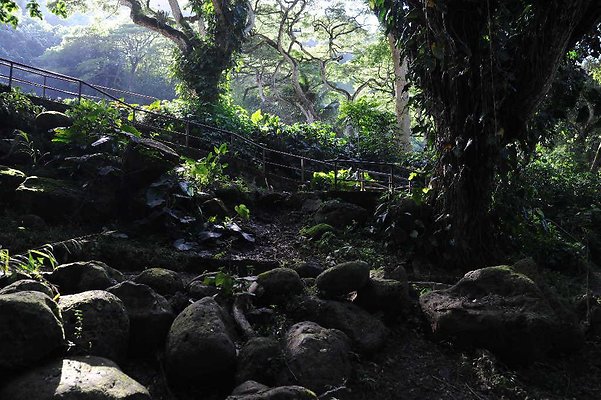 th DSC 4785 th DSC 4785