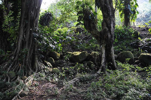 th DSC 4777 th DSC 4777