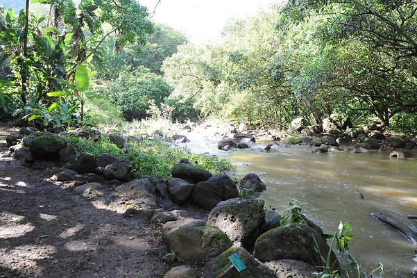 th DSC 4749 th DSC 4749