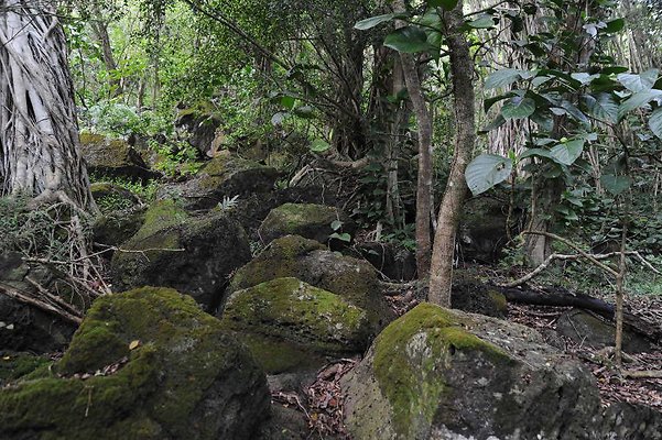 th DSC 3296 th DSC 3296