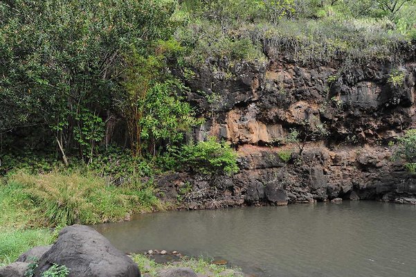 th DSC 3885 th DSC 3885