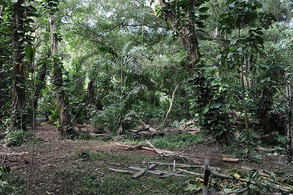 th DSC 3275 th DSC 3275