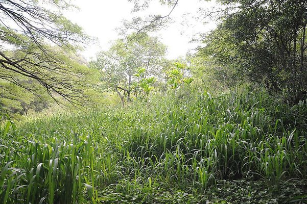 th DSC 3293 th DSC 3293