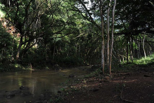 th DSC 4789 th DSC 4789