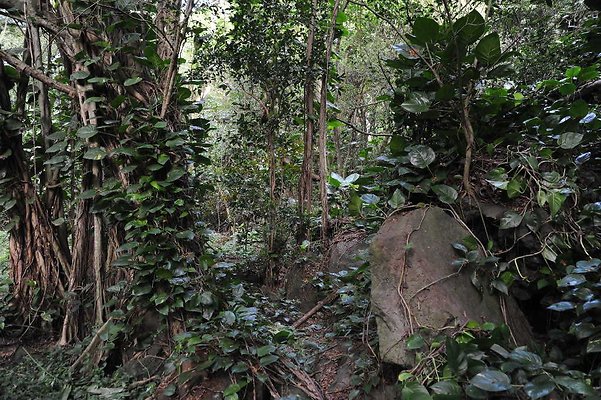 th DSC 3272 th DSC 3272